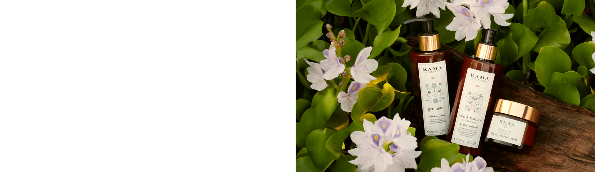 BANNER DESKTOP (1).png